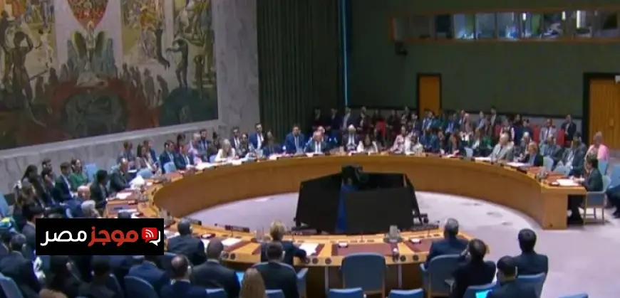 وزير الاستثمار والتجارة الخارجية يستعرض إمكانيات تعزيز التعاون الاقتصادي مع فنلندا