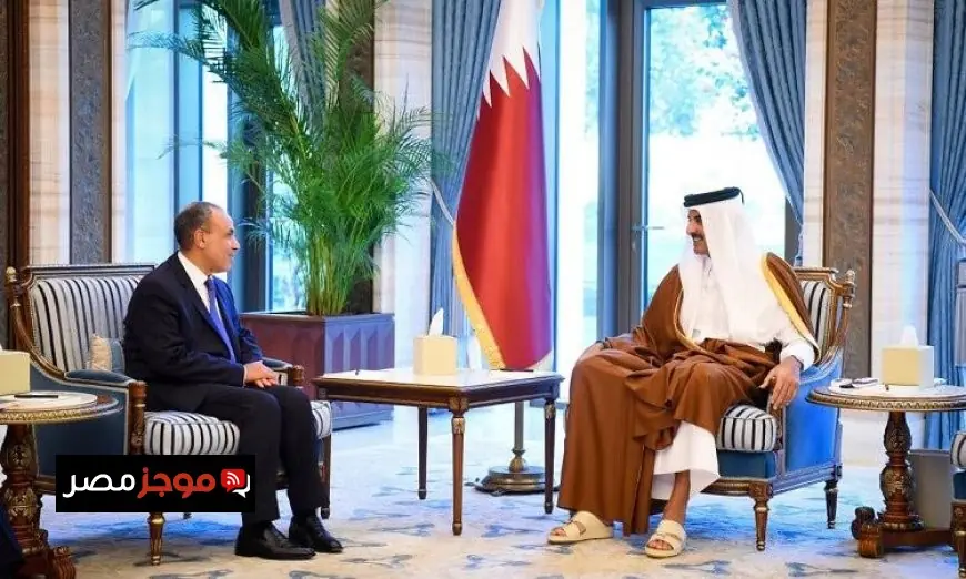 وزير الخارجية المصري ينقل رسالة دعم كامل وتضامن شفّاف مع أمير قطر