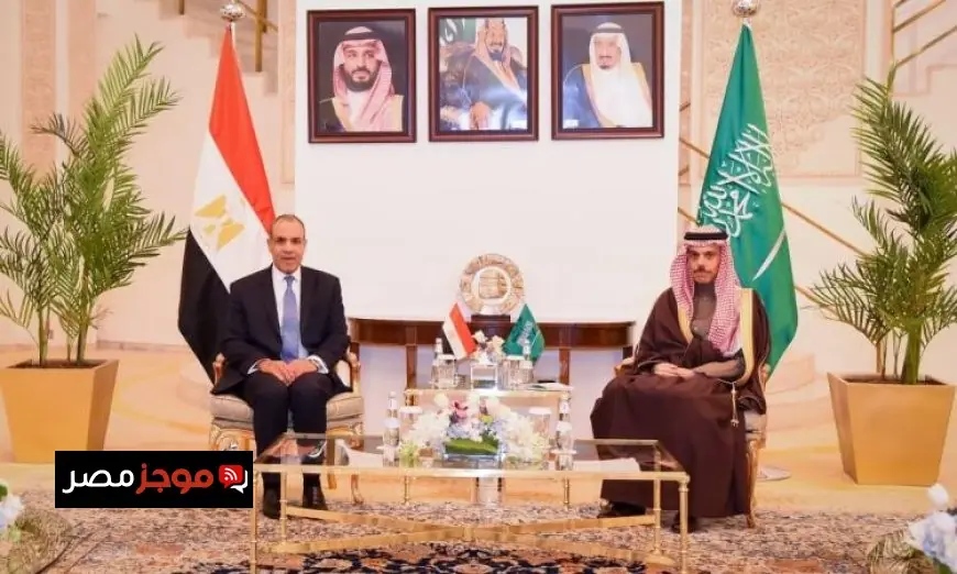 وزير الخارجية يدعو نظيره السعودي لوضع آليات فعالة لتعزيز الأمن الجماعي العربي
