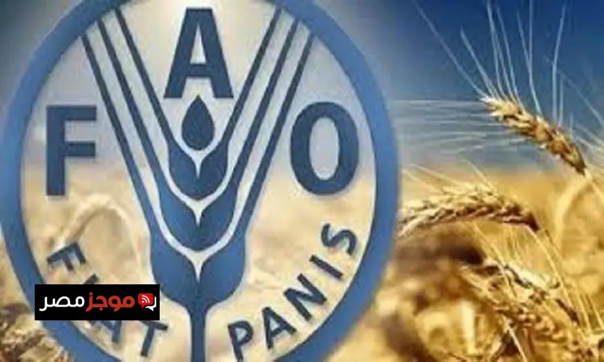 تقرير الفاو يكشف تداعيات صراع الشرق الأوسط على الأمن الغذائي بحسب معلومات الوزراء