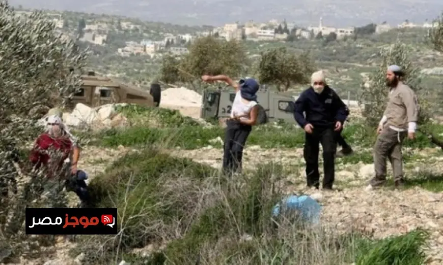 اعتداء مستوطنين على مدرسة المالح في الأغوار الشمالية يثير ردود فعل واسعة