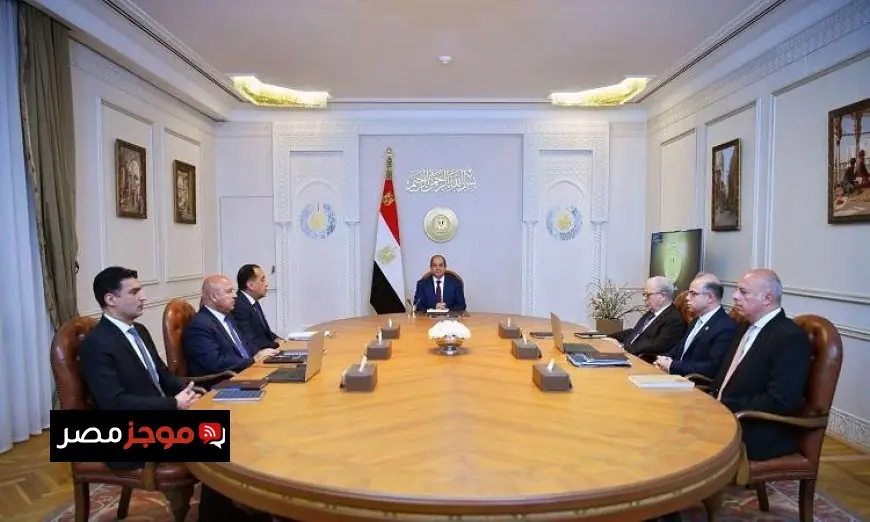 السيسي يؤكد ضرورة حماية الاقتصاد من تأثيرات الممارسات الضارة