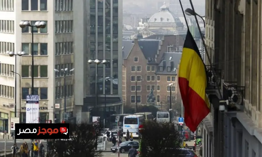 القضاء البلجيكي يحدد تقصير بروكسل في حماية غزة من الإبادة الجماعية