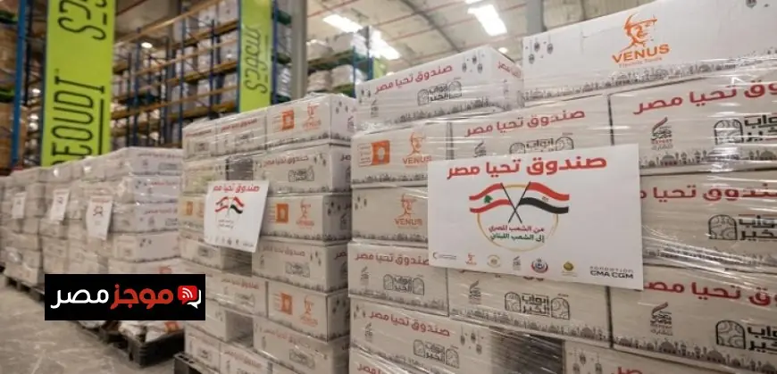 مصر تُرسل ألف طن من المساعدات الإغاثية العاجلة إلى لبنان تنفيذًا لتوجيهات الرئيس السيسي