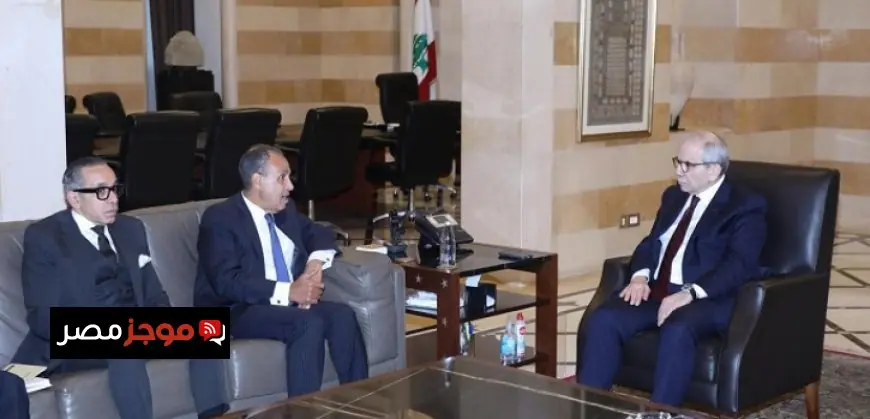 وزير الخارجية يتباحث مع رئيس الوزراء اللبناني ويقدم رسالة دعم من الرئيس السيسي