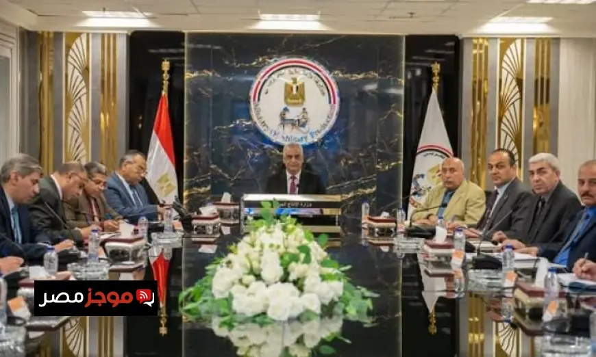 وزير الدولة للإنتاج الحربي يعلن عن إنشاء لجنة لمتابعة ترشيد استهلاك الكهرباء
