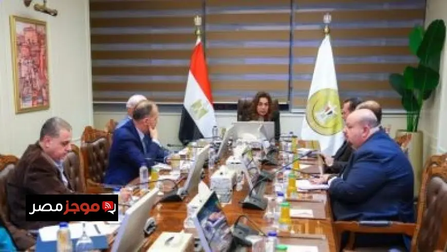 لقاء وزير العمل مع السكرتيرة التنفيذية للتحالف العالمي للعدالة الاجتماعية يعزز التعاون في تحقيق العدالة الاجتماعية