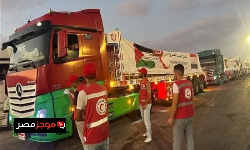 قافلة زاد العزة رقم 166 تصل إلى غزة لدعم الفلسطينيين