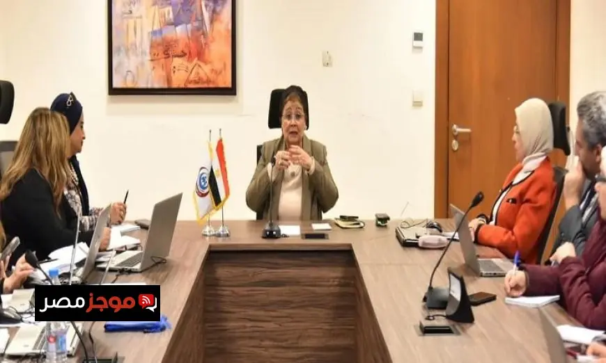 نائب وزير الصحة تتابع جهود تعزيز صحة الأم والطفل مع مركز معلومات مجلس الوزراء