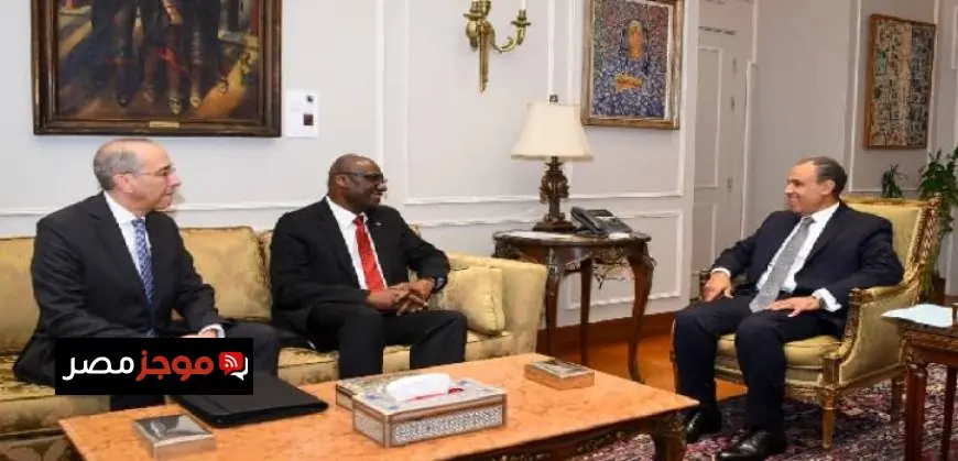 وزير الخارجية المصري يجتمع برئيس جامعة كارلتون الكندية لتعزيز التعاون الأكاديمي والعلمي مع كندا