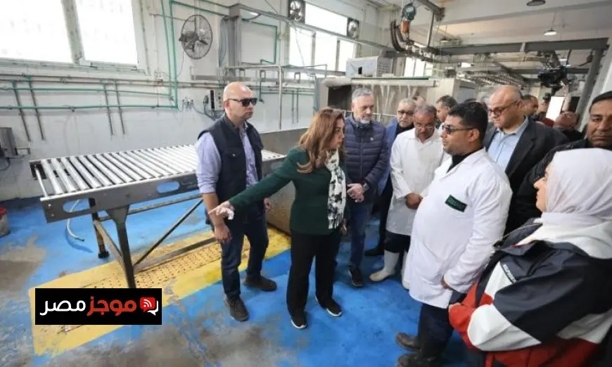 وزيرة التنمية المحلية تقرر إقالة مدير مديرية الطب البيطري في الإسكندرية