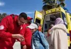الهلال الأحمر المصري يوزع 42 ألف سلة غذائية ومستلزمات شتوية لدعم سكان غزة