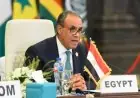 وزير الخارجية المصري يعلن دعماً قوياً لتنفيذ الميثاق العالمي للهجرة