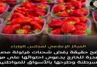 مجلس الوزراء يرد على شائعات رفض شحنات الفراولة ويؤكد جودة المنتجات الزراعية المصرية