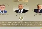 وزير الخارجية يناقش جهود خفض التصعيد مع نظيريه الألماني والإيطالي