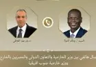 وزير الخارجية يبحث مع نظيره الجنوب إفريقي تطورات الأوضاع في الشرق الأوسط