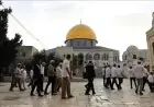 اقتحام عشرات المستوطنين المسجد الأقصى تحت حراسة مشددة من قوات الاحتلال الإسرائيلي