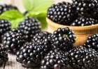 التوت الأسود ينقلب إلى سلاح قوي لمحاربة السمنة والسكري بطرق طبيعية