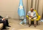 مصر تعزز دعمها للصومال وتؤكد على الشراكة الاستراتيجية بين البلدين خلال لقاء عبد العاطى بالرئيس الصومالي