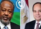 الرئيس السيسى يقدم التهاني للرئيس الجيبوتى بمناسبة فوزه بولاية رئاسية جديدة عبر الهاتف