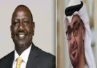 رئيس الإمارات ورئيس كينيا يستعرضان سبل تعزيز التعاون في مجالات متعددة