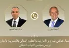 وزير الخارجية يتحدث مع نبيه بري عن استمرار الجهود المصرية لدعم الاستقرار السياسي