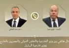 وزير الخارجية المصري يناقش مع نظيره البرازيلي فرص فتح أسواق جديدة للمنتجات المصرية في البرازيل