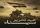 نساء مصر يُخلدن ذكرى عيد تحرير سيناء بالتأكيد على أهمية كل شبر من تراب الوطن