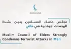 مجلس حكماء المسلمين يعبر عن استنكار قوي للهجمات الإرهابية في مالي