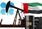 الإمارات تعلن انسحابها من منظمة أوبك وأوبك اعتبارًا من 1 مايو