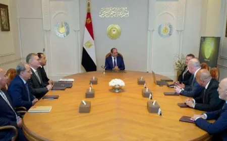 الرئيس السيسى يعلن عن التزام الدولة بدفع مستحقات الشركاء الأجانب في قطاع البترول والغاز بالكامل