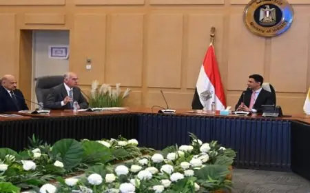 وزير الصناعة يناقش مع اتحاد الصناعات المصرية وجهاز مشروعات الخدمة الوطنية فرص تعزيز صادرات الرخام والجرانيت