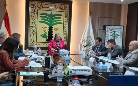 جهود القومي للطفولة والأمومة في حماية الأطفال وتعزيز تمكين الفتيات تضيء الطريق للمستقبل