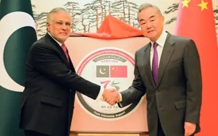 الصين تطلب من العالم الانضمام لمبادرتها مع باكستان لتعزيز السلام في الشرق الأوسط