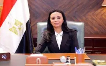 وزيرة التضامن تكشف عن جهود مصر في تقديم الرعاية الشاملة لأطفال غزة