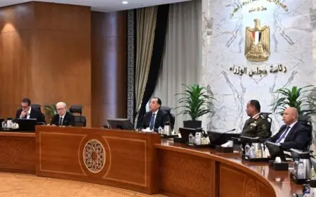 تطبيق نظام العمل عن بُعد في جميع الوزارات والمحافظات والهيئات بدءًا من الأحد المقبل