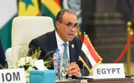 وزير الخارجية المصري يعلن دعماً قوياً لتنفيذ الميثاق العالمي للهجرة