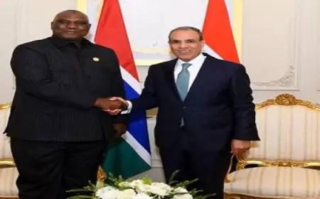 وزير الخارجية يلتقي بنظيره الجامبي لتعزيز التعاون الثنائي وتفعيل التنسيق المشترك