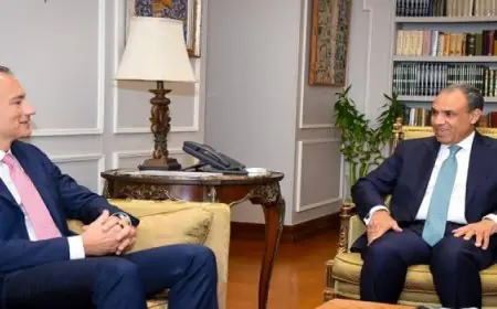 وزير الخارجية يناقش مع الممثل الأعلى لغزة تطورات الأوضاع والمرحلة الثانية من خطة ترامب