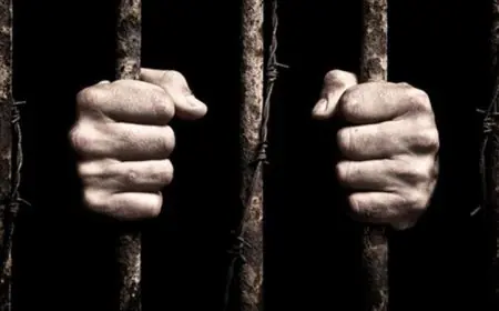 الإفتاء الفلسطيني يحذر من قانون إعدام الأسرى الذي يفتح باب الفتك بحقوق الأسرى الفلسطينيين