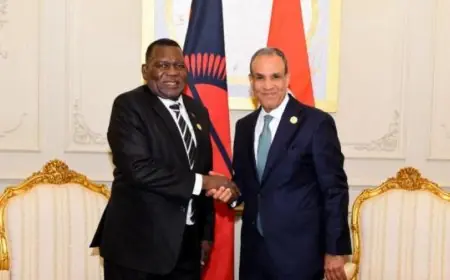 وزير الخارجية يناقش مع نظيره المالاوي تعزيز العلاقات الثنائية بين البلدين