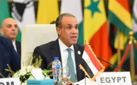 وزير الخارجية يؤكد استمرار الجهود المصرية في خفض التصعيد بلا توقف