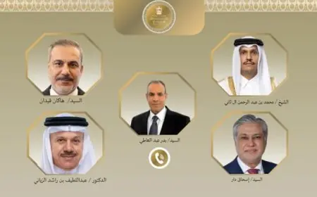وزير الخارجية يناقش التطورات الإقليمية مع نظرائه في تركيا وباكستان وقطر والبحرين