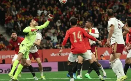 فاروق جعفر يثني على أداء منتخب مصر المذهل ضد إسبانيا وينوه بأهمية شوبير كحارس أول