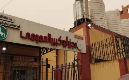 منال عوض تطلق التشغيل التجريبي لمجزر أبو كبير في الشرقية بتكلفة 25 مليون جنيه