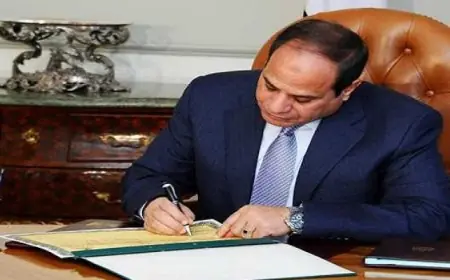 قرار جمهوري بتعيين السفير علاء يوسف رئيسًا لمجلس إدارة الهيئة العامة للاستعلامات