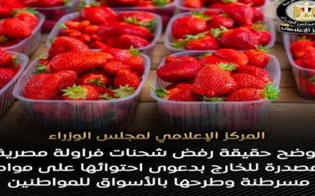 مجلس الوزراء يرد على شائعات رفض شحنات الفراولة ويؤكد جودة المنتجات الزراعية المصرية