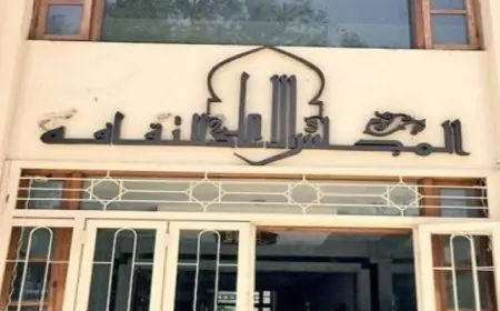 الأعلى للثقافة يشدد على أهمية تطوير استراتيجية ثقافية لتعزيز وحماية الهوية الوطنية