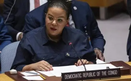 اجتماعات دبلوماسية مثمرة بين الكونغو الديمقراطية وأمريكا لتعزيز جهود السلام