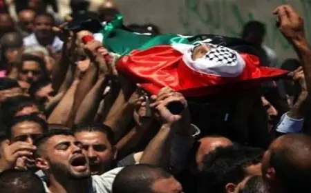 استشهاد فلسطيني وإصابة آخرين جراء القصف الإسرائيلي في قلب قطاع غزة